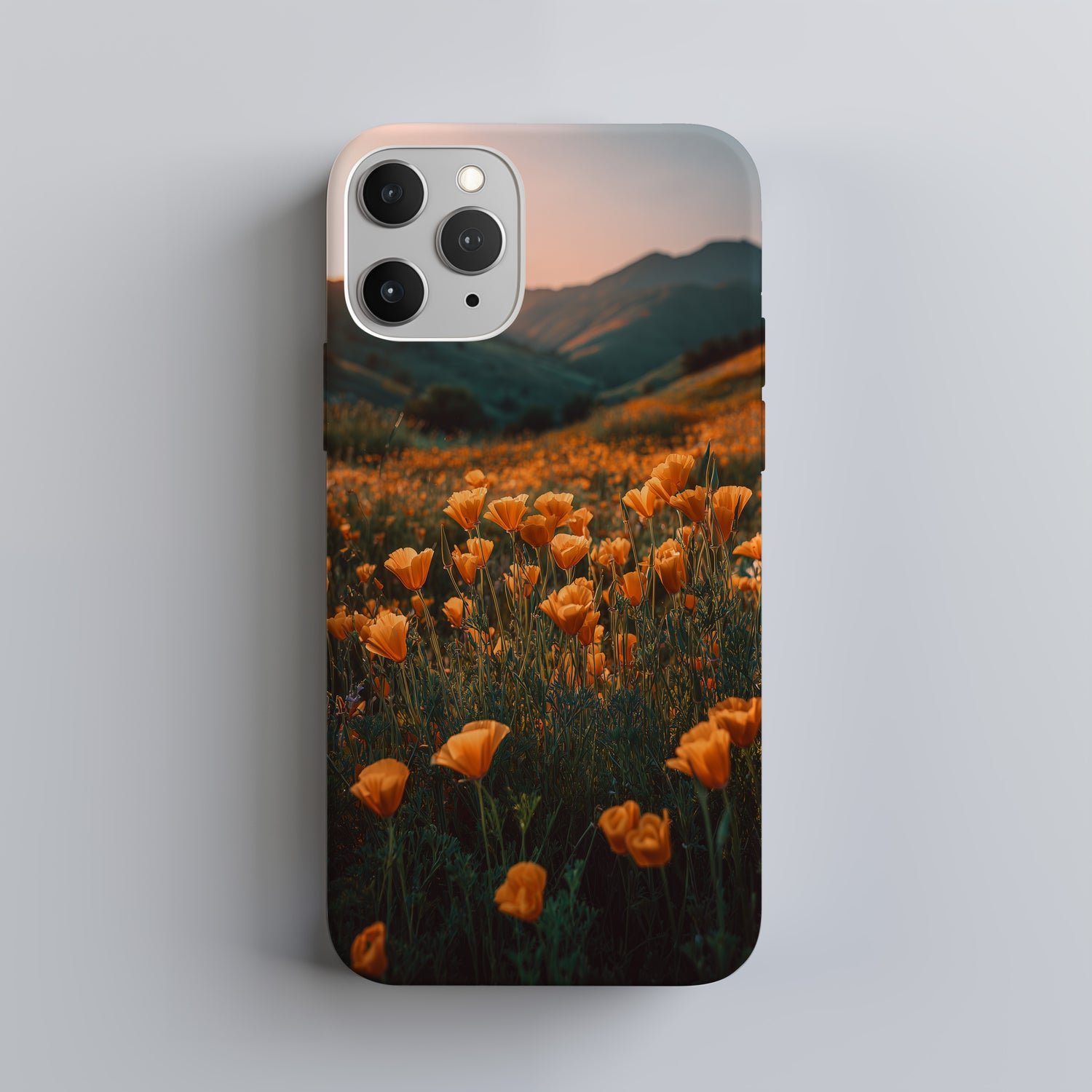 Landscapes